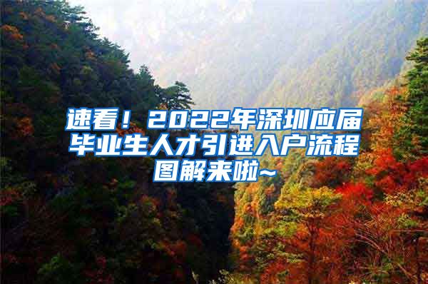速看！2022年深圳应届毕业生人才引进入户流程图解来啦~