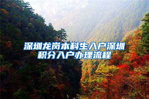 深圳龙岗本科生入户深圳积分入户办理流程