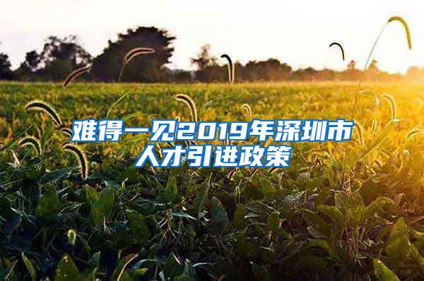 难得一见2019年深圳市人才引进政策