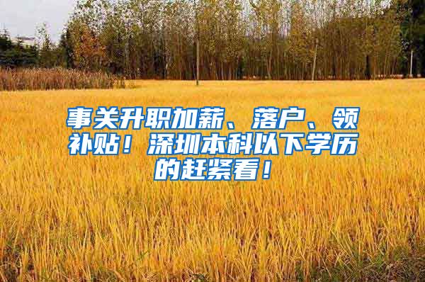 事关升职加薪、落户、领补贴！深圳本科以下学历的赶紧看！
