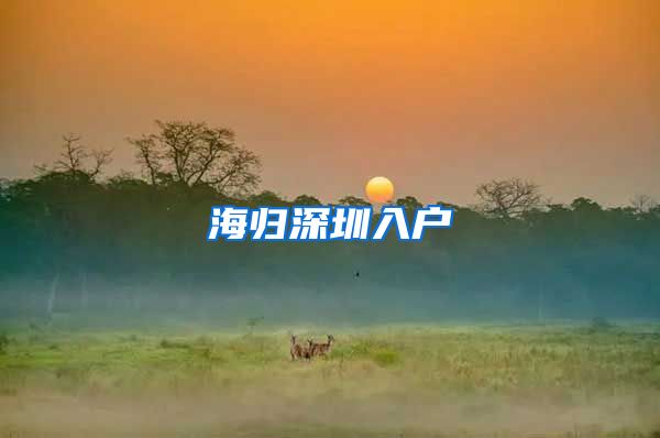 海归深圳入户