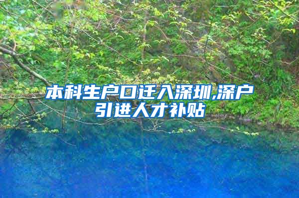 本科生户口迁入深圳,深户引进人才补贴