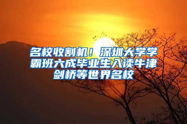 名校收割机！深圳大学学霸班六成毕业生入读牛津剑桥等世界名校