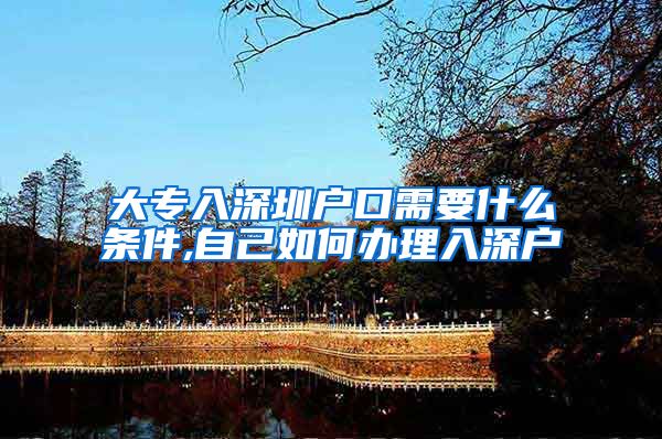 大专入深圳户口需要什么条件,自己如何办理入深户