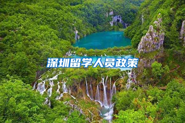 深圳留学人员政策