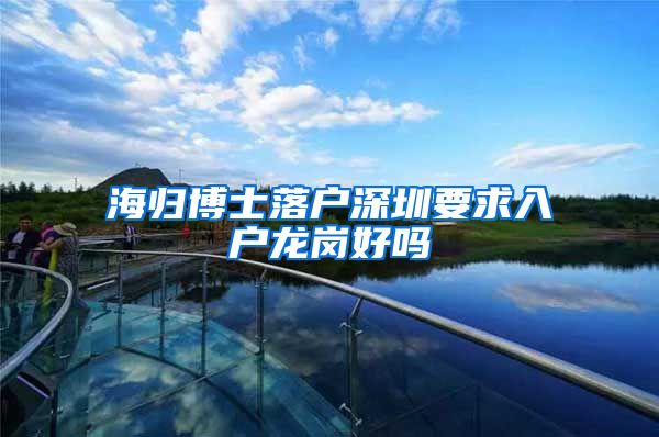 海归博士落户深圳要求入户龙岗好吗