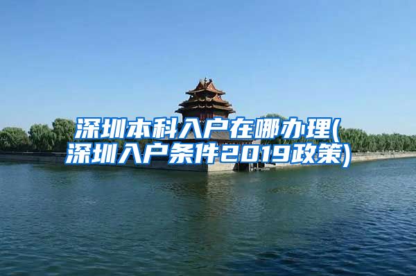 深圳本科入户在哪办理(深圳入户条件2019政策)