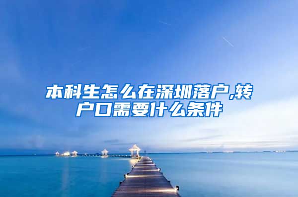 本科生怎么在深圳落户,转户口需要什么条件