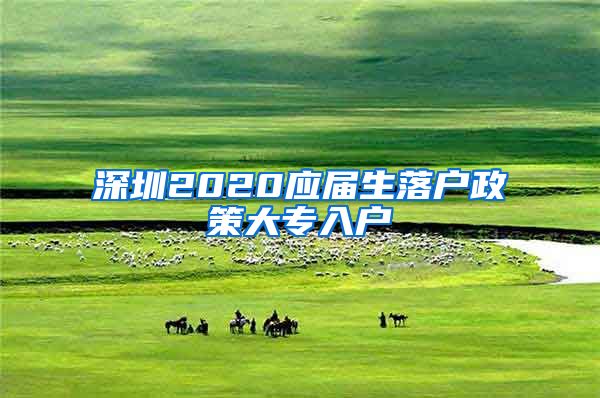 深圳2020应届生落户政策大专入户
