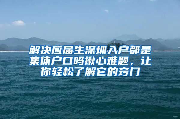 解决应届生深圳入户都是集体户口吗揪心难题，让你轻松了解它的窍门