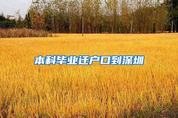 本科毕业迁户口到深圳
