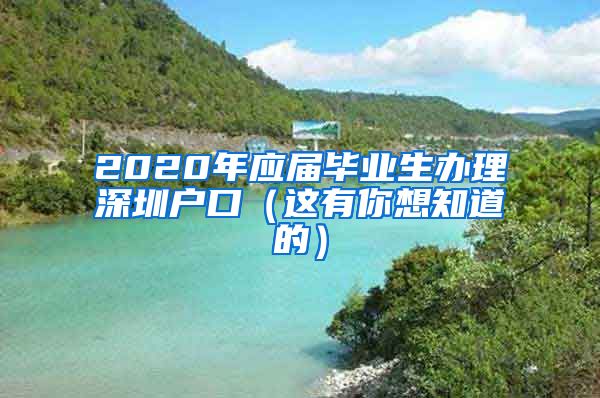 2020年应届毕业生办理深圳户口（这有你想知道的）