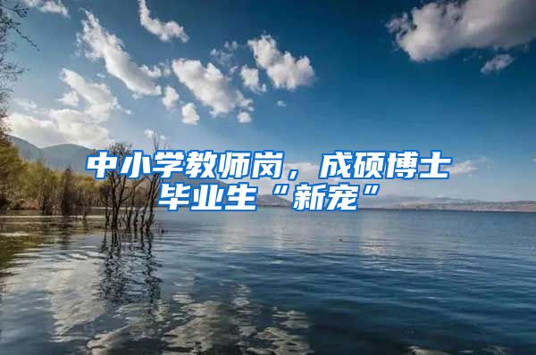中小学教师岗，成硕博士毕业生“新宠”