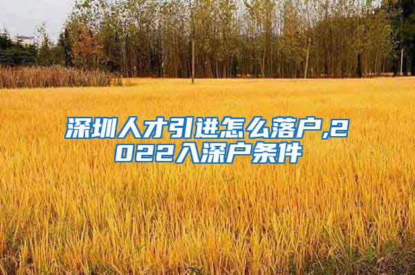 深圳人才引进怎么落户,2022入深户条件