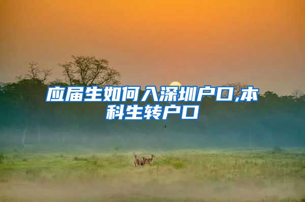 应届生如何入深圳户口,本科生转户口