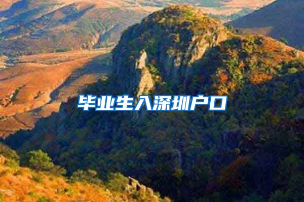 毕业生入深圳户口