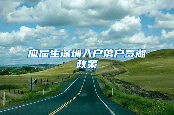 应届生深圳入户落户罗湖政策