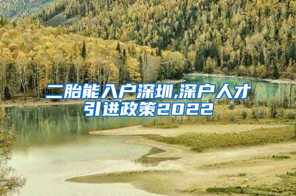 二胎能入户深圳,深户人才引进政策2022