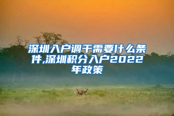 深圳入户调干需要什么条件,深圳积分入户2022年政策
