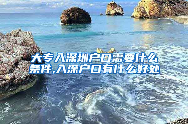 大专入深圳户口需要什么条件,入深户口有什么好处