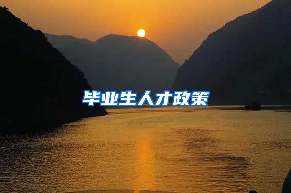 毕业生人才政策