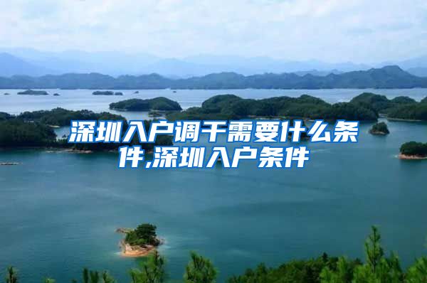 深圳入户调干需要什么条件,深圳入户条件