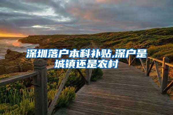 深圳落户本科补贴,深户是城镇还是农村