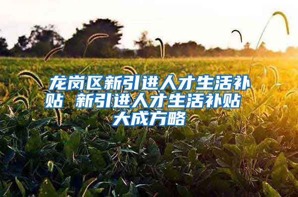 龙岗区新引进人才生活补贴 新引进人才生活补贴 大成方略