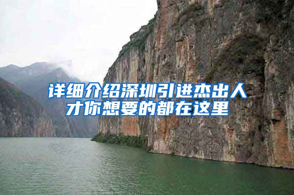 详细介绍深圳引进杰出人才你想要的都在这里