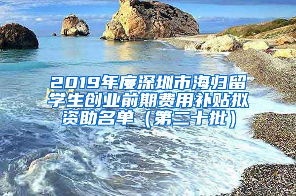 2019年度深圳市海归留学生创业前期费用补贴拟资助名单（第二十批）