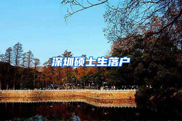 深圳硕士生落户