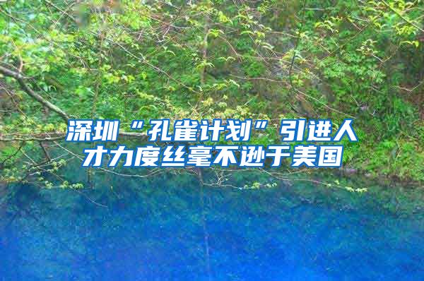 深圳“孔雀计划”引进人才力度丝毫不逊于美国