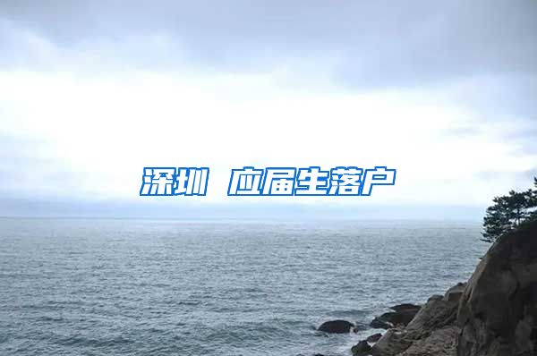 深圳 应届生落户