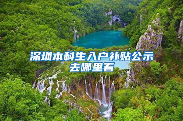 深圳本科生入户补贴公示去哪里看