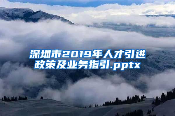 深圳市2019年人才引进政策及业务指引.pptx