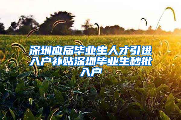 深圳应届毕业生人才引进入户补贴深圳毕业生秒批入户