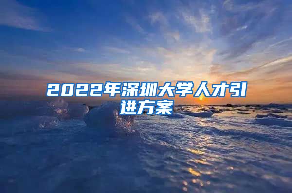 2022年深圳大学人才引进方案