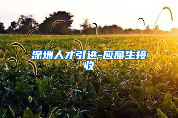 深圳人才引进-应届生接收