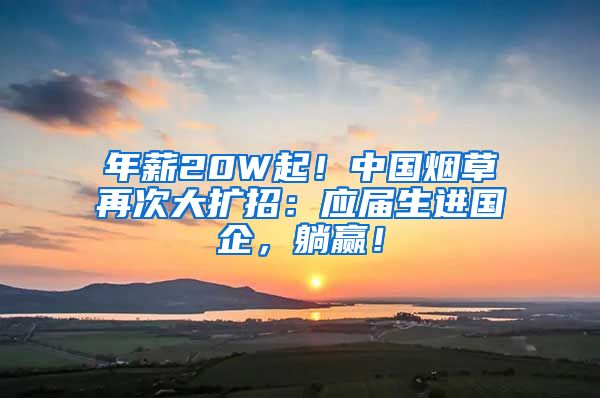 年薪20W起！中国烟草再次大扩招：应届生进国企，躺赢！