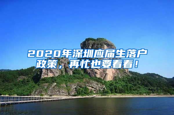 2020年深圳应届生落户政策，再忙也要看看！