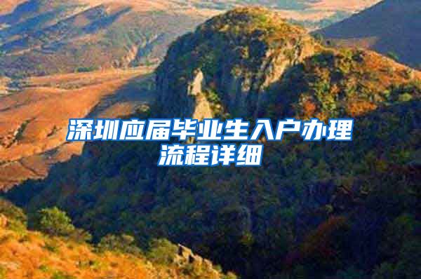 深圳应届毕业生入户办理流程详细