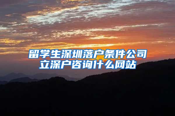 留学生深圳落户条件公司立深户咨询什么网站