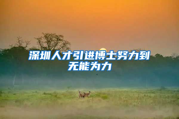 深圳人才引进博士努力到无能为力