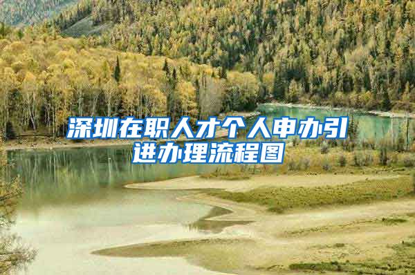 深圳在职人才个人申办引进办理流程图