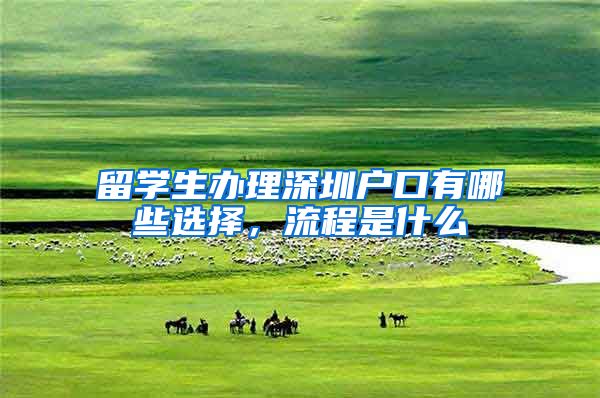 留学生办理深圳户口有哪些选择，流程是什么