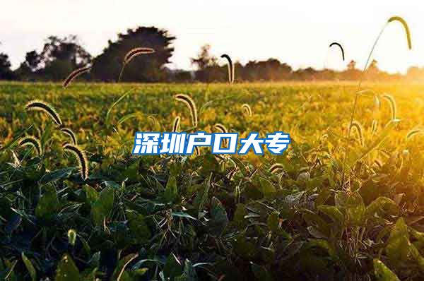 深圳户口大专