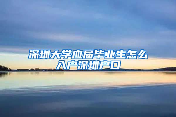 深圳大学应届毕业生怎么入户深圳户口