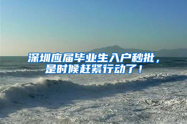 深圳应届毕业生入户秒批，是时候赶紧行动了！