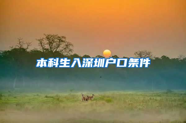 本科生入深圳户口条件