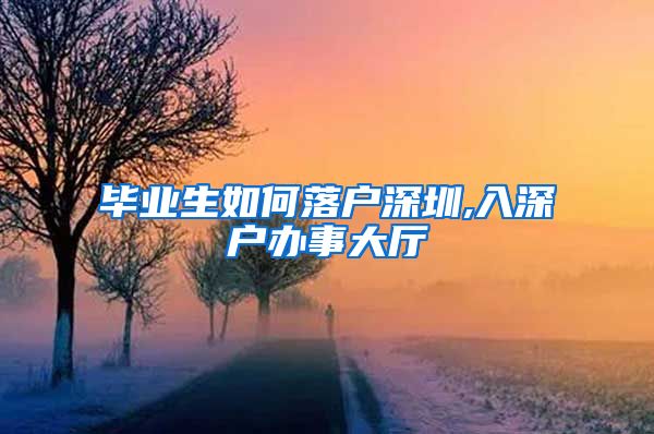 毕业生如何落户深圳,入深户办事大厅